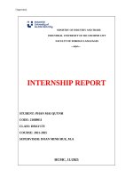 IUH - INTERNSHIP REPORT