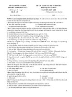 Đề khảo sát hsg 12 năm 2025