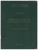 Lv 0604 NGHIÊN CỨU XÂY DỰNG MÔ HÌNH TIN VÀ CÁC ỨNG DỤNG TRONG TRẮC ĐỊA CÔNG TRÌNH