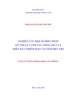 Nghiên cứu một số biện pháp kỹ thuật canh tác giống dừa ta trên Đất nhiễm mặn tại tỉnh bến tre