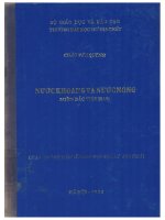 Lv 0040 NƯỚC KHOÁNG VÀ NƯỚC NÓNG MIỀN BẮC VIỆT NAM