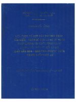 La 0039c LỰA CHỌN TỔ HỢP CÁC PHƯƠNG PHÁP TÌM KIẾM - THĂM DÒ HỢP LÝ ĐỂ DỰ ĐOÁN CHẤT LƯỢNG VÀ TRỮ LƯỢNG URANI TRONG CÁC MỎ CÁT KẾT URANI KIỂU KHE HOA - KHE CAO, GRAFIT CHÚA URANI KIỂU TIÊN AN