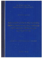Lv 0060c NÂNG CAO HIỆU QUẢ KHAI THÁC VÀ SỬ DỤNG THÔNG TIN TRONG XỬ LÝ, PHÂN TÍCH TÀI LIỆU PHỔ GAMMA HÀNG KHÔNG, ÁP DỤNG CHO VÙNG TUY HOÀ
