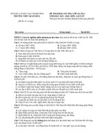 Đề thi hsg môn sử 1