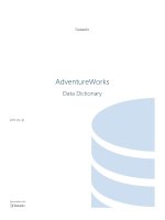 Sách AdventureWorks Data Dictionary