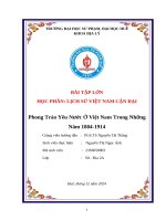 Bài tập lớn học phần lịch sử việt nam cận Đại phong trào yêu nước Ở việt nam trong những năm 1884 1914