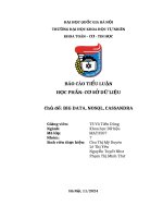 Báo cáo tiểu luận học phần cơ sở dữ liệu chủ Đề big data, nosql, cassandra