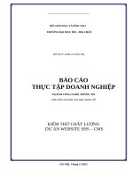 Báo cáo thực tập doanh nghiệp  kiểm thử chất lượng dự Án website shs – cms
