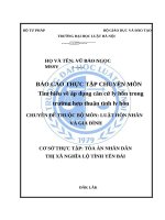 Báo cáo thực tập chuyên môn tìm hiểu về Áp dụng căn cứ ly hôn trong trường hợp thuận tình ly hôn