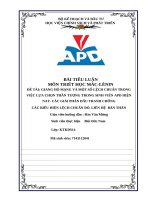 Giang hồ mạng và một số lệch chuẩn trong việc lựa chọn thần tượng trong sinh viên apd hiện nay  các giải phân Đấu tranh chống các biểu hiện lệch chuẩn Đó  liên hệ bản thân