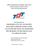 Ảnh hưởng của các giá trị tiêu dùng Đến Ý Định mua hàng xanh của người tiêu dùng tại thành phố hồ chí minh vai trò trung gian của niềm tin xanh