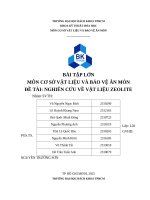 Bài tập lớn môn cơ sở vật liệu và bảo vệ Ăn mòn Đề tài nghiên cứu về vật liệu zeolite