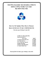 Báo cáo thí nghiệm môn hóa lý polymer bài 6 Đánh giá về quá trình blend