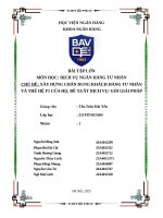 Chủ Đề xây dựng chân dung khách hàng tư nhân và thế hệ f1 của họ, Đề xuất dịch vụ gói giải pháp