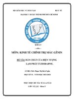 Môn kinh tế chính trị mác lênin Đề tài bản chất của hiện tượng lạm phát Ở zimbabwe