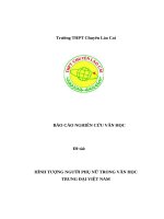 Đề tài hình tượng người phụ nữ trong văn học trung Đại việt nam