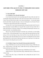 QUY TRÌNH KIỂM TOÁN TSCĐ TẠI CÔNG TY TNHH KIỂM TOÁN CROWE HORWATH VIỆT NAM