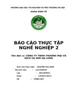 Báo cáo thực tập nghề nghiệp 2 tên Đơn vị công ty tnhh thương mại và dịch vụ sen hạ long