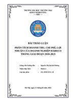 Phân tích doanh thu, chi phí, lợi nhuận của doanh nghiệp habeco trong giai Đoạn 2018 2023