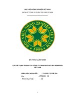 Bài thảo luận nhóm lợi thế cạnh tranh của công ty tnhh nhà máy bia heineken việt nam