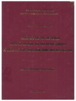 La 0138 NGHIÊN CỨU CHẾ TẠO THỬ NGHIỆM THANH CỐT NEO BẰNG VẬT LIỆU PÔLYME COMPOZIT ĐỂ CHỐNG GIỮ CÔNG TRÌNH NGẦM TRONG ĐIỀU KIỆN VIỆT NAM