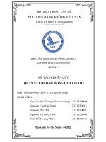 Đề tài nghiên cứu quan sát Đường dòng qua cố thể