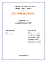 Assignment marketing căn bản  công ty cổ phần viễn thông fpt (fpt telecom