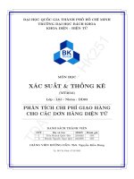 Phân tích chi phí giao hàng cho các Đơn hàng Điện tử