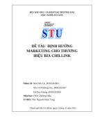 Đề tài Định hướng marketing cho thương hiệu bia chillink