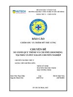 Chuyên Đề so sánh quy trình và chi phí grooming tại nhà và pet salon chuyên nghiệp