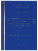 La 0058 NGHIÊN CỨU XÁC ĐỊNH VÀ LỰA CHỌN NHỮNG THÔNG SỐ HỢP LÝ CỦA VỎ CHỐNG NHẸ KHI ĐÀO LÒ XUYÊN VỈA QUA ĐẤT ĐÁ TƯƠNG ĐỐI VŨNG CHẮC TẠI CÁC MỎ HẦM LÒ VIỆT NAM