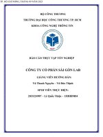Báo cáo thực tập tốt nghiệp công ty cổ phần sài gòn lab