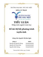 Tieu luạn nhập môn ngành toán học Đề tài hệ bất phương trình tuyến tính