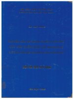La_0201 NGHIÊN CỨU ÁP DỤNG VÌ NEO CHẤT DẺO CỐT THÉP CHỐNG GIỮ CÁC ĐƯỜNG LÒ CƠ BẢN TRONG NGÀNH THAN VIỆT NAM
