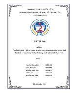 Tư vấn tài chính   Đầu tư (mua) bất Động sản của một cá nhân hộ gia Đình Điển hình (Ở mức trung bình; trên trung bình) tại một thành phố lớn