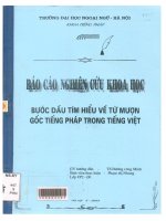 000063493 BÁO CÁO NGHIÊN CỨU KHOA HỌC BƯỚC ĐẦU TÌM HIỂU VỀ TỪ MƯỢN GỐC TIẾNG PHÁP TRONG TIẾNG VIỆT