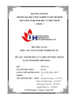 Tiểu luận môn  kỹ năng nghề nghiệp kỹ sư Đề tài Ảnh hưởng của một số thực phẩm fast food Đến Đời sống
