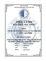 Phân tích pháp luật về huy Động vốn khi thành lập doanh nghiệp theo pháp luật việt nam