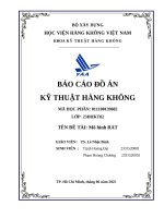 Báo cáo Đồ Án kỹ thuật hàng không Đề tài mô hình rat