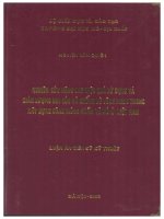 La 0347 NGHIÊN CỨU NÂNG CAO HIỆU QUẢ SỬ DỤNG VÀ GIẢM LƯỢNG RƠI CỦA VỎ CHỐNG BÊ TÔNG PHUN TRONG XÂY DỤNG CÔNG TRÌNH NGẦM VÀ MỞ Ở VIỆT NAM