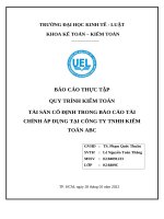 TÀI SẢN CỐ ĐỊNH TRONG BÁO CÁO TÀI CHÍNH ÁP DỤNG TẠI CÔNG TY TNHH KIỂM TOÁN ABC