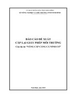 Báo cáo Đề xuất cấp lại giấy phép môi trường của nâng cấp cảng cá ninh cơ