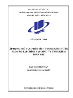 ÁP DỤNG THỦ TỤC PHÂN TÍCH TRONG KIỂM TOÁN BÁO CÁO TÀI CHÍNH TẠI CÔNG TY TNHH KIỂM TOÁN ABC