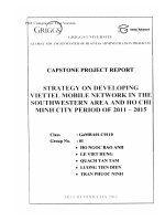 G1_00227 STRATEGIC BUSINESS DEVELOPMENT OF PETROSETCO VUNG TAU GENERAL SERVICES JOINT STOCK COMPANY (PETROSETCO VUNG TAU) PERIOD 2010 - 2015