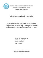 QUY TRÌNH KIỂM TOÁN TÀI SẢN CỐ ĐỊNH TẠI CÔNG TY TNHH ABC VIỆT NAM ĐỐI VỚI KHÁCH HÀNG XYZ