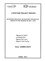 G1_00202 BUSINESS STRATEGY OF BAOVIET INSURANCE GROUP IN THE PERIOD OF 2011-2015 CHIẾN LƯỢC KINH DOANH CỦA TẬP ĐOÀN BẢO HIỂM BAO VIỆT GIAI ĐOẠN 2011-2015