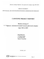 G1_00181 Business strategy of VViglacera Autoclaved Aerated Concrete joint stock company stage 2011 to 2015 Chiến lược kinh doanh của Công ty cổ phần Bê tông khí chưng áp VViglacera giai đoạn 2011 - 2015