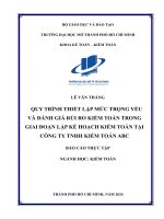 QUY TRÌNH THIẾT LẬP MỨC TRỌNG YẾU VÀ ĐÁNH GIÁ RỦI RO KIỂM TOÁN TRONG GIAI ĐOẠN LẬP KẾ HOẠCH KIỂM TOÁN TẠI CÔNG TY TNHH KIỂM TOÁN ABC