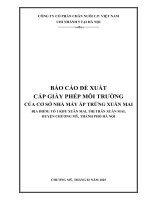 Báo cáo gpmt nhà máy Ấp trứng xuân mai