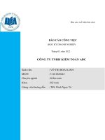 BÁO CÁO CÔNG VIỆC HỌC KỲ DOANH NGHIỆP CÔNG TY TNHH KIỂM TOÁN ABC